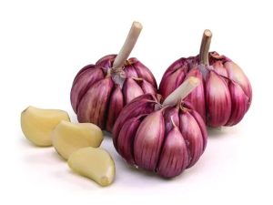 Ajo Morado