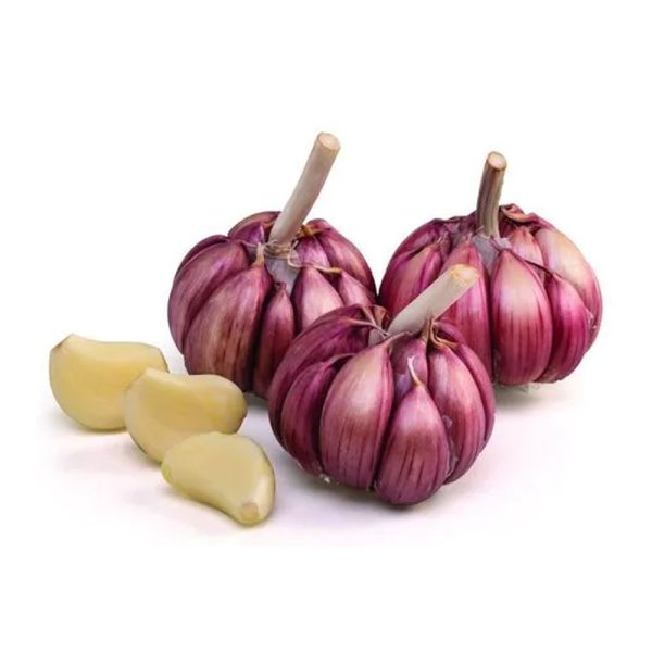 Ajo Morado