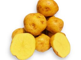 Papa Amarilla