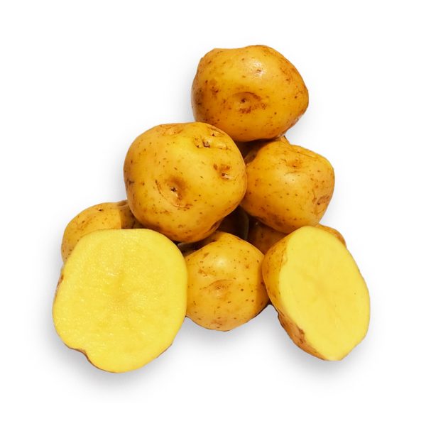 Papa Amarilla